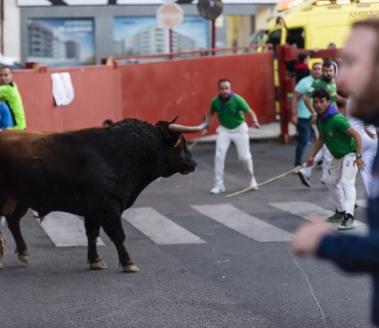 TERCER ENCIERRO: 5 minutos por un toro rezagado