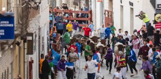 Encierro limpio el de este sábado en Guadalajara Encierro del sábado