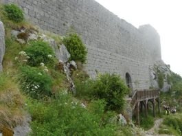 El acceso al castillo de Montségur es el premio a una empinada vereda entre un frondoso bosque. (Foto: María Alonso / La Crónic@)