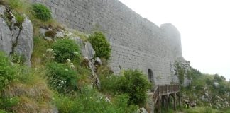 El acceso al castillo de Montségur es el premio a una empinada vereda entre un frondoso bosque. (Foto: María Alonso / La Crónic@)