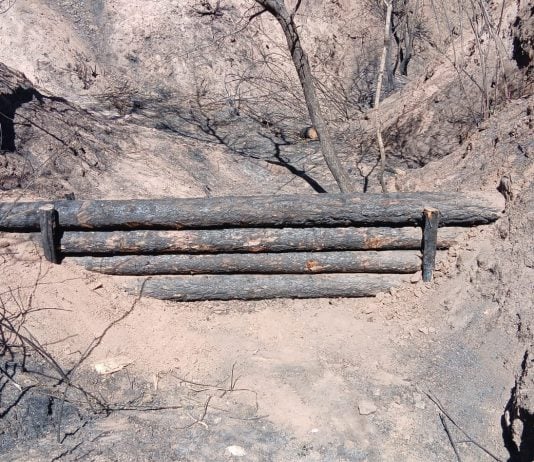 Ejemplo de una albarrada en Beleña.
