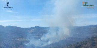 Controlado el incendio forestal en El Cardoso de la Sierra Vista aérea del incendio declarado este viernes en El Cardoso de la Sierra, en su fase inicial. (Foto: Infocam)