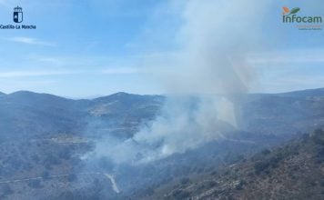 Controlado el incendio forestal en El Cardoso de la Sierra Vista aérea del incendio declarado este viernes en El Cardoso de la Sierra, en su fase inicial. (Foto: Infocam)