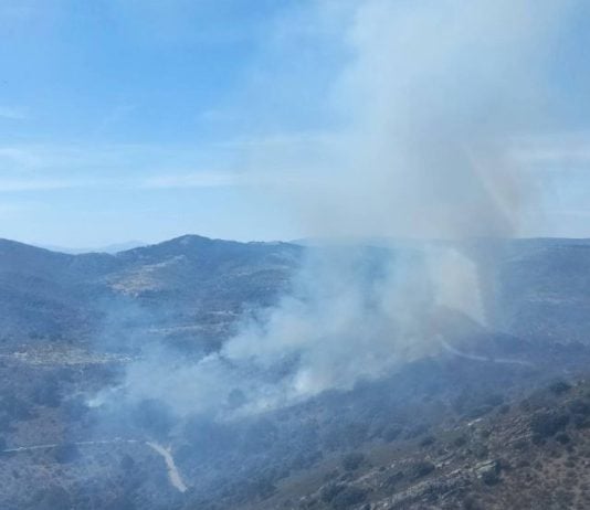 Vista aérea del incendio declarado este viernes en El Cardoso de la Sierra, en su fase inicial. (Foto: Infocam)