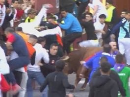 Momento en el que se habría producido la herida por asta de toro que no consta en el parte oficial. (Foto: CMM)