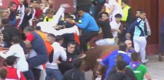 Momento en el que se habría producido la herida por asta de toro que no consta en el parte oficial. (Foto: CMM)