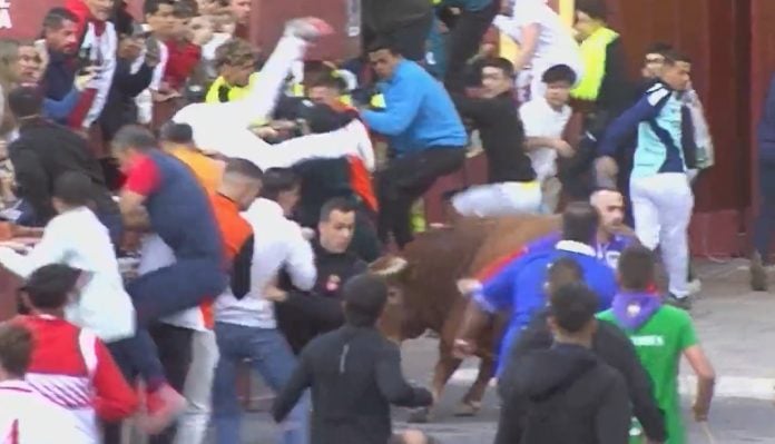 Momento en el que se habría producido la herida por asta de toro que no consta en el parte oficial. (Foto: CMM)