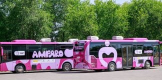 La protección contra las agresiones sexuales viaja en autobús Autobuses de la Red Amparo.