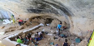 Yacimiento de La Malia, en Tamajón.