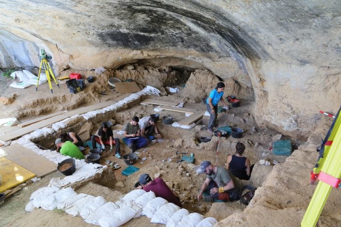 Yacimiento de La Malia, en Tamajón.