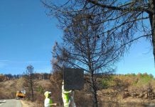Reposición de señales en las carreteras tras el incendio de La Mierla.