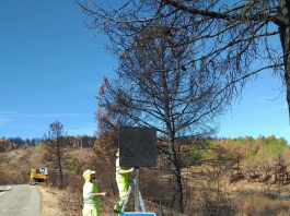 Reposición de señales en las carreteras tras el incendio de La Mierla.