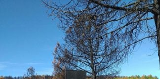 Señales nuevas para ayudar a superar el incendio de La Mierla Reposición de señales en las carreteras tras el incendio de La Mierla.