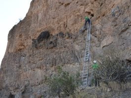 Cueva granero Gran Canaria