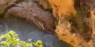Dramático suceso en Mochales. VEA AL VÍDEO Los GEAS de la Guardia Civil, en pleno dispositivo en Mochales.