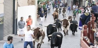 Historias poco conocidas de los encierros de Guadalajara primer encierro 2026