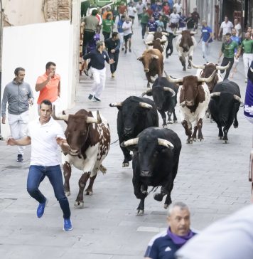 Historias poco conocidas de los encierros de Guadalajara primer encierro 2026