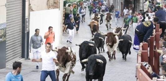 Historias poco conocidas de los encierros de Guadalajara primer encierro 2026