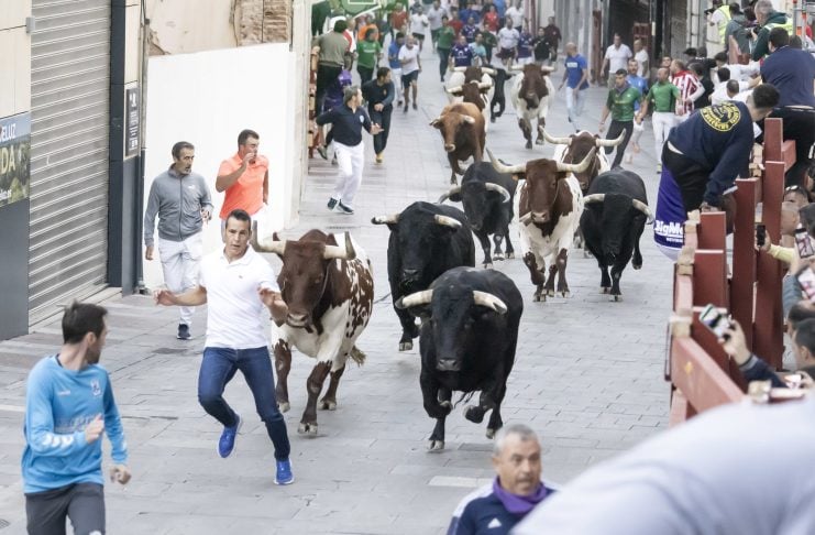 Historias poco conocidas de los encierros de Guadalajara primer encierro 2026