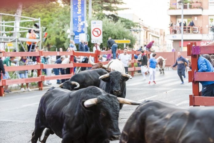 encierro de guadalajara miñércoles