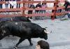 El último encierro, marcado por un toro «colorao» quinto encierro Guadalajara 2026