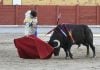 Una de las faenas que se han podido ver en la Feria de este año en Guadalajara. (Foto: Luis Díaz Viejo)
