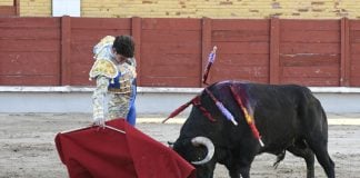 PSOE, PP y Vox homenajean juntos a un empresario taurino Una de las faenas que se han podido ver en la Feria de este año en Guadalajara. (Foto: Luis Díaz Viejo)