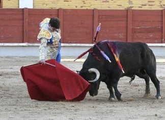Una de las faenas que se han podido ver en la Feria de este año en Guadalajara. (Foto: Luis Díaz Viejo)
