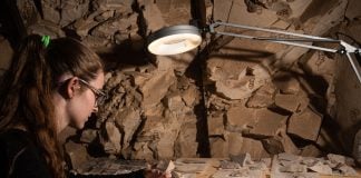 ‘Objetos con historia’: la UAH acerca al público su experiencia arqueológica en Egipto UAH Egipto
