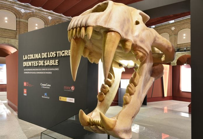 Entrada a la exposición sobre los tigres dientes de sable en Alcalá de Henares. (Foto: Comunidad de Madrid)