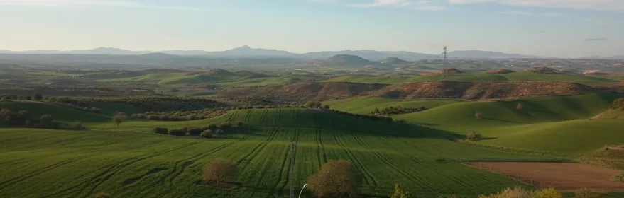 Alrededores de Ciruelas.