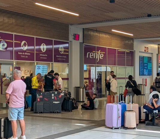 El tren afectado había salido de la estación de Chamartín, en una línea que tiene su inicio en Guadalajara. (Foto: La Crónic@)
