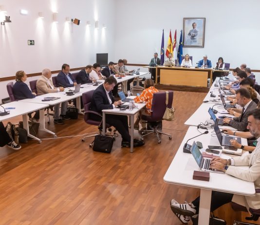 Pleno del Ayuntamiento de Guadalajara.