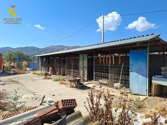 Lugar donde se encontraba la rehala de perros.