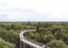 Beelitz-Heilstätten