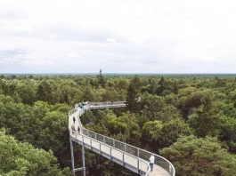 Beelitz-Heilstätten
