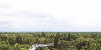 Cómo caminar por encima de un bosque cerca de Berlín… y con sorpresas Beelitz-Heilstätten