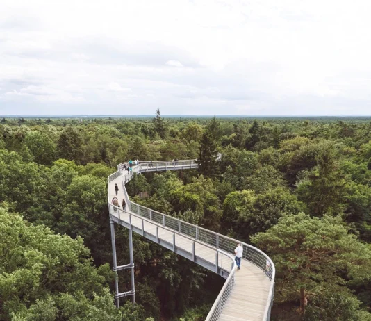 Beelitz-Heilstätten
